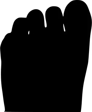 Human foot fingers silhouette vector illustration
