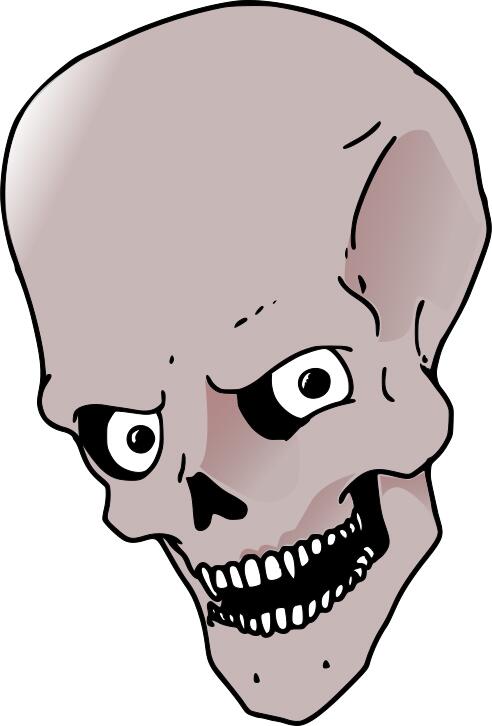 High forehead skull vector drawing