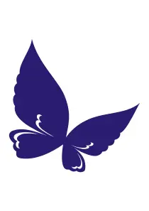 Flying butterfly vector drawing