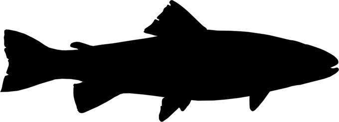 Trout fish silhouette vector image