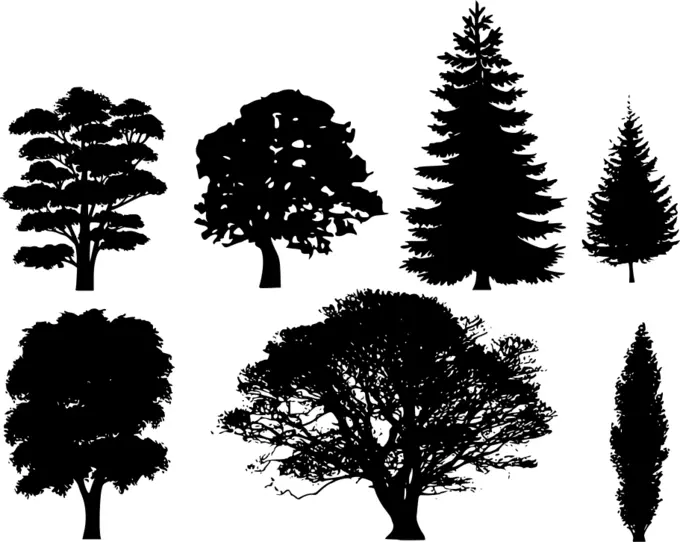 Selection tree silhouettes vector clip art