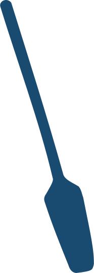 Wash paddle silhouette vector image