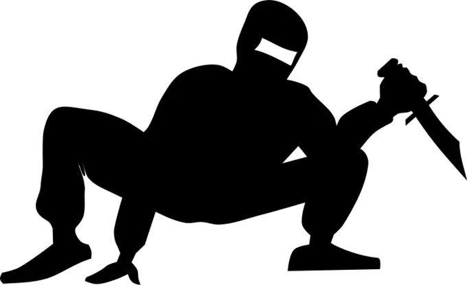 Ninja hiding vector image