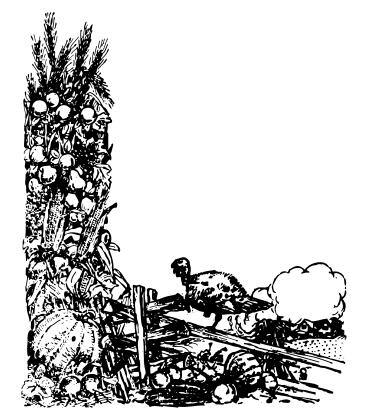 Harvest bounty vector image