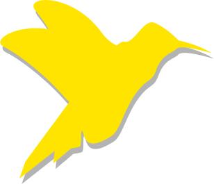 Silhouette vector drawing of colibri
