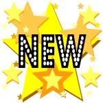 New on stars sign vector image