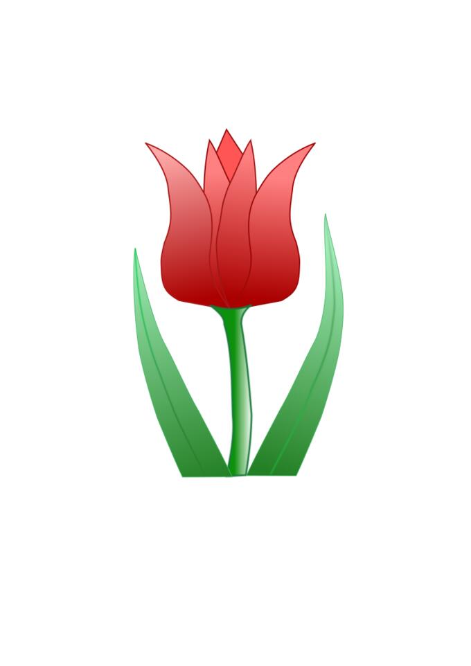 Tulip flower vector clip art