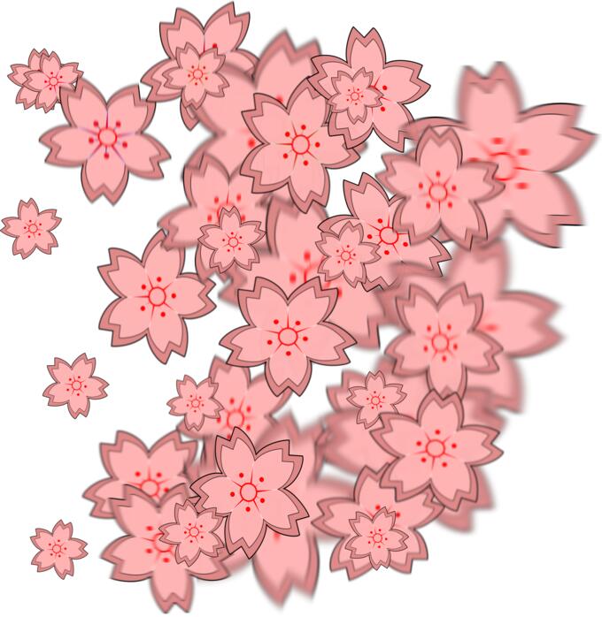 Sakura blossoms decoration vector graphics