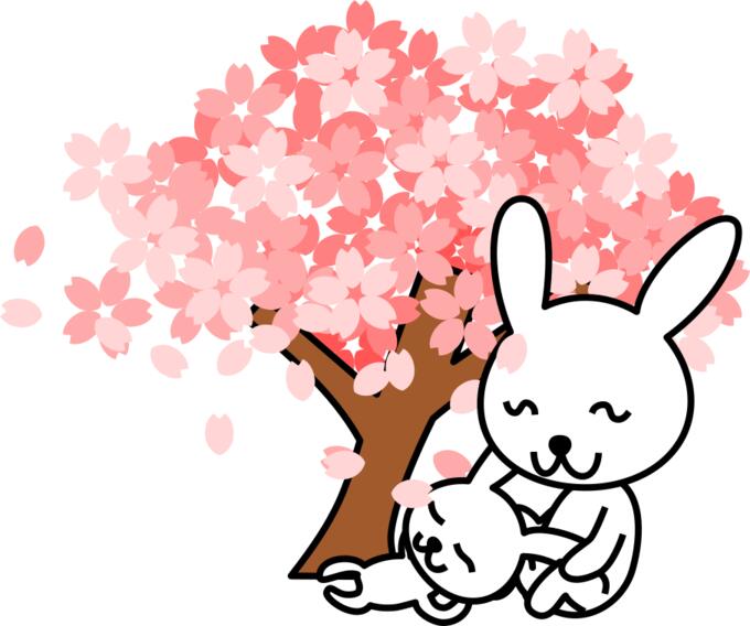 Vector illustration of cherry blossoms rabbit