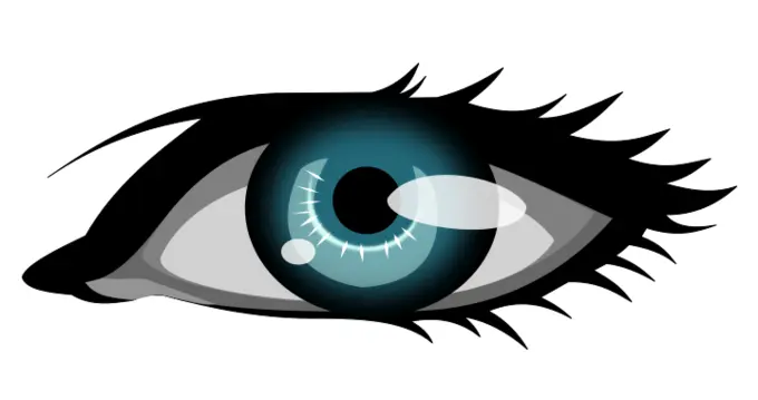 Vector graphics of woman's eye