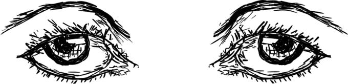 Human eyes sketch vector image