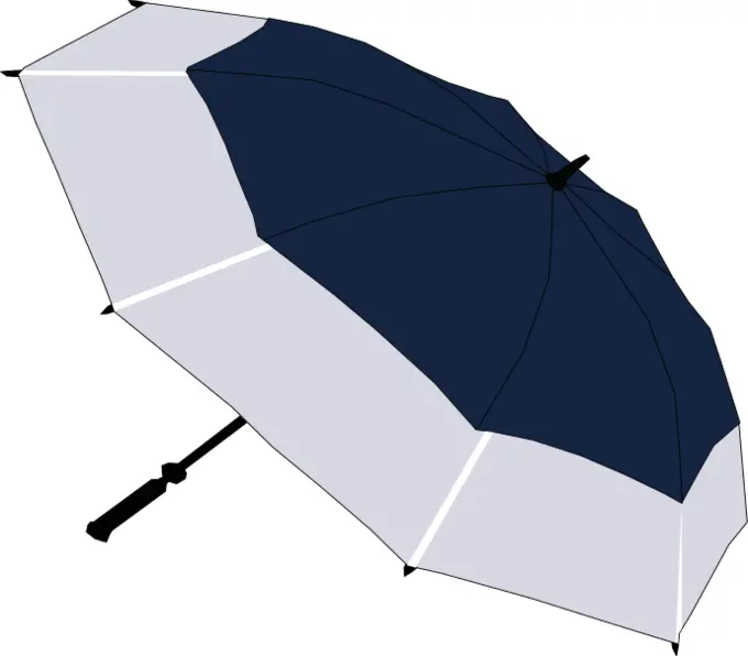 Blue and grey umbrella vector image