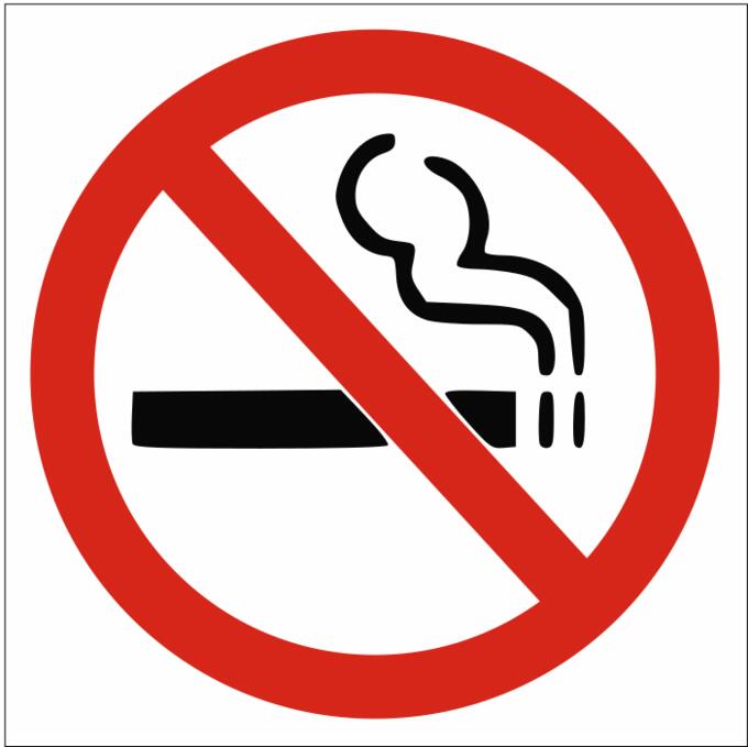 No smoking sign vector image