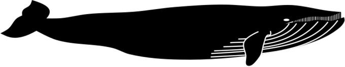 Silhouette vector illustration of whale