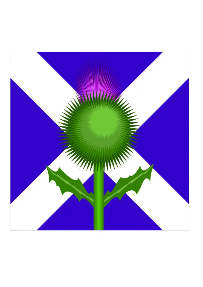Scottish thistle and flag vector image