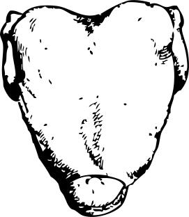 Back of cooked fowl vector illustration