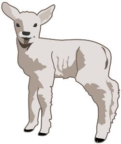 Lamb vector image