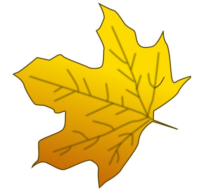 Yellow maple leaf vector image