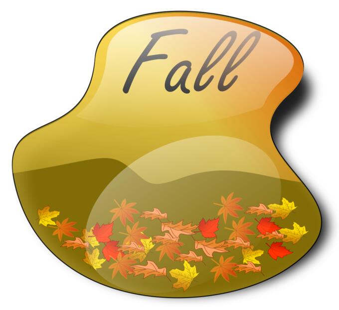 Fall landscape in liquid frame vector image