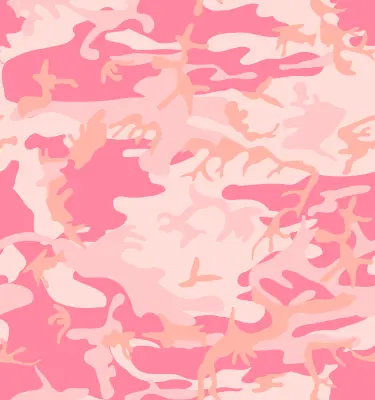 Pink camouflage print vector image
