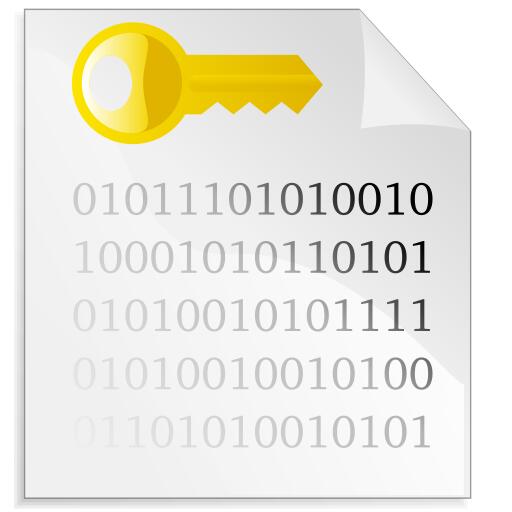 Encrypted file icon vector image