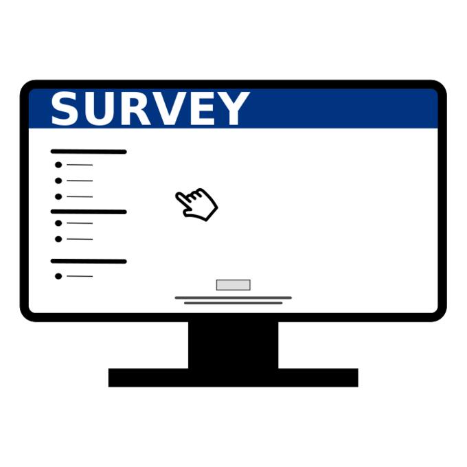 Online computer survey icon vector image
