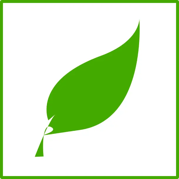 Eco green leaf vector icon