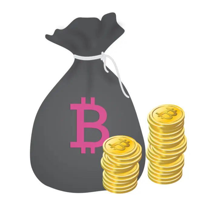 Bag of Bitcoins vector image