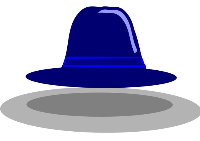 Wide rim hat vector image