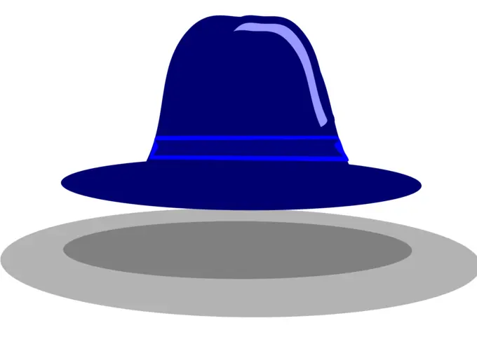 Wide rim hat vector image