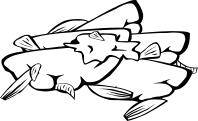 Vector graphics of pierogis