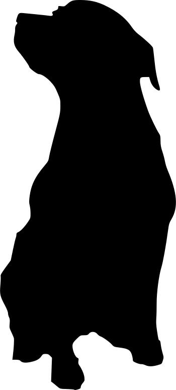 Rottweiler vector drawing