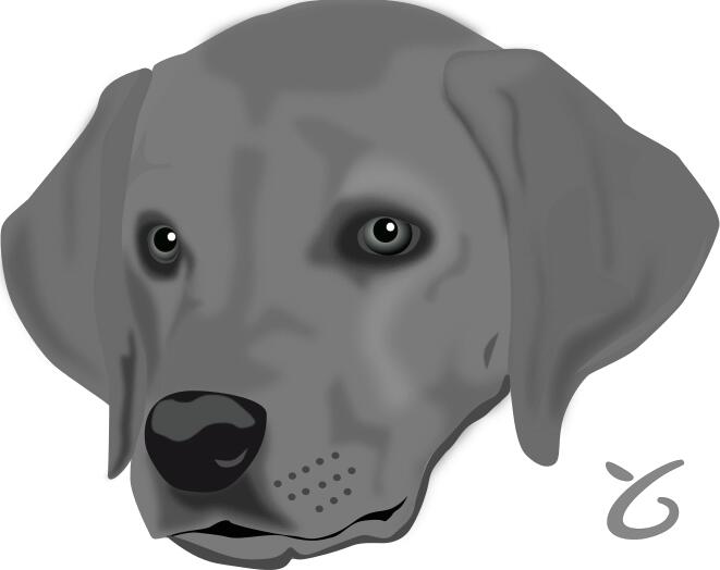 Dogface vector image