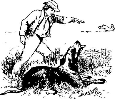 Hare and hound vector illustration