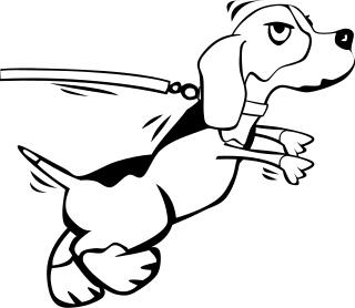 Dog on leash vector image