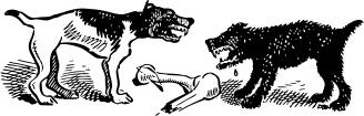 Dogs fight over bone vector illustration