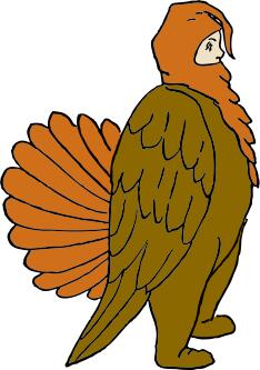Boy in turkey suit vector image