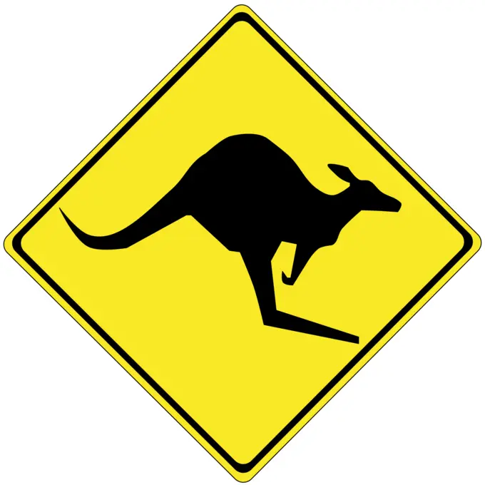 Kangaroo on road caution sign vector image