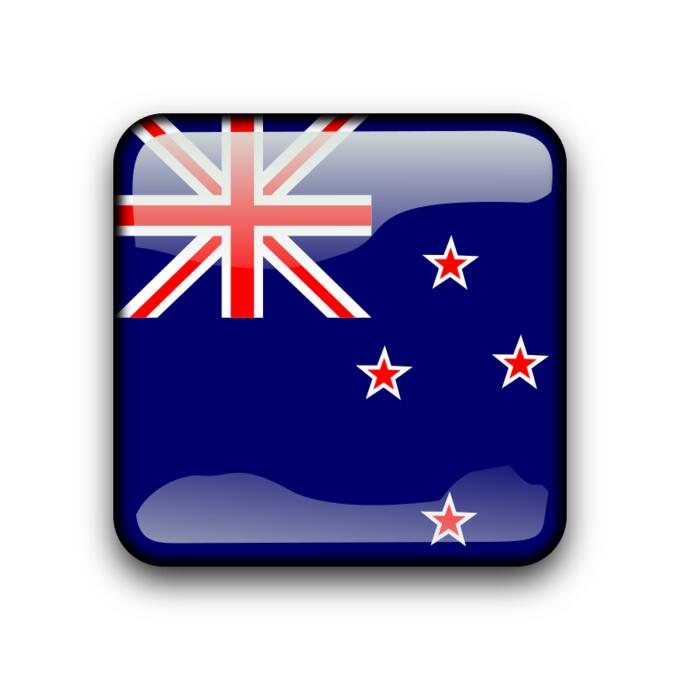 New Zealand flag vector