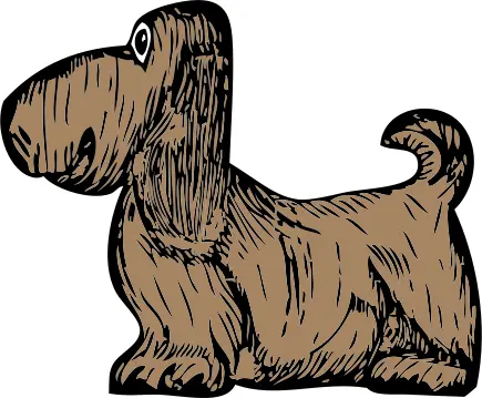 Basset Hound puppy vector illustration