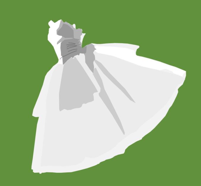Ballet dress vector image