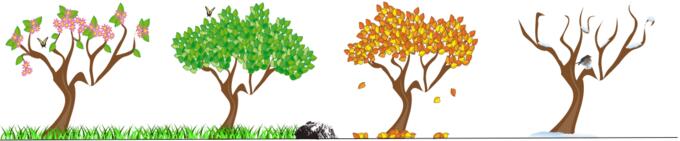 Trees vector image