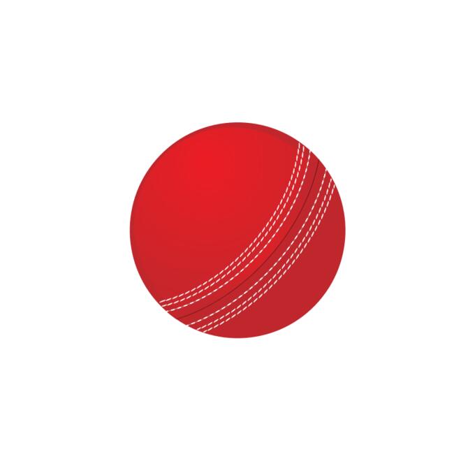 Cricket ball vector image