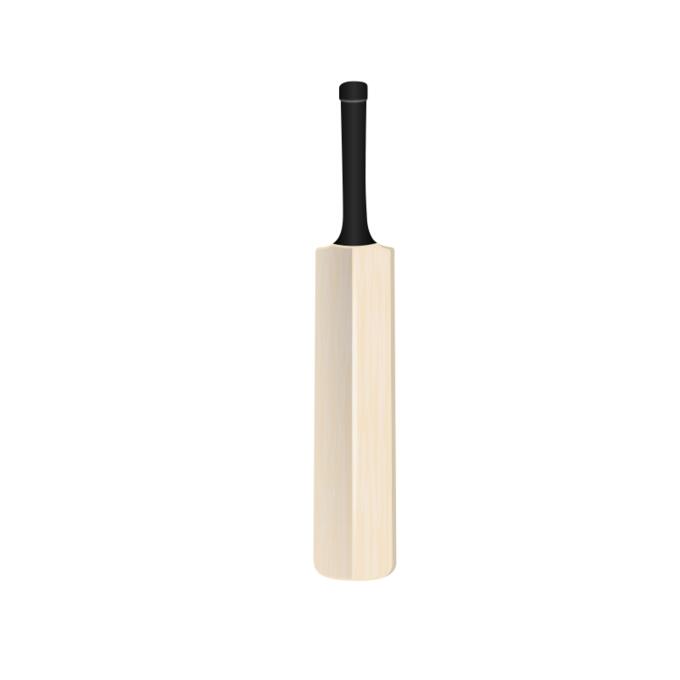 Cricket bat vector image