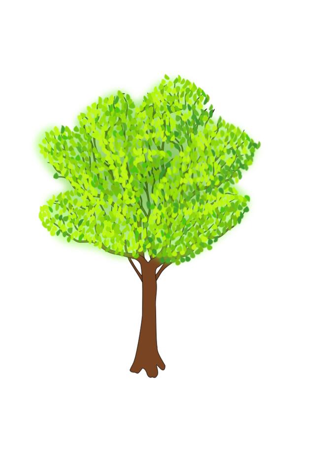 Tree vector illustration