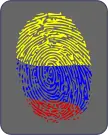 Fingerprint vector image