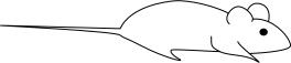 Mouse vector image