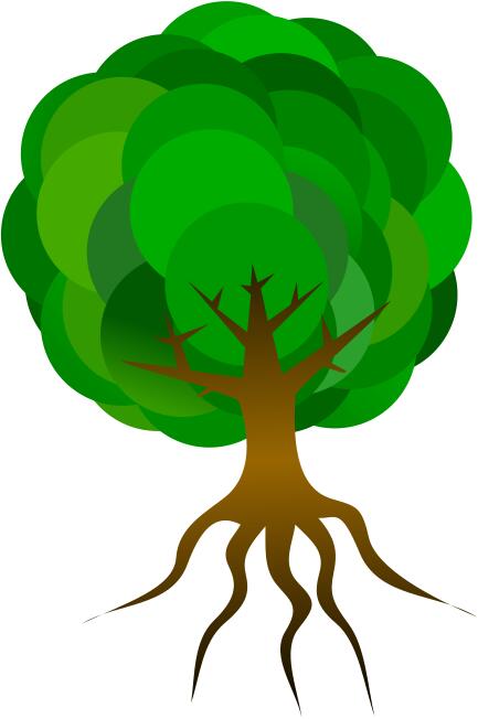 Tree vector illustration