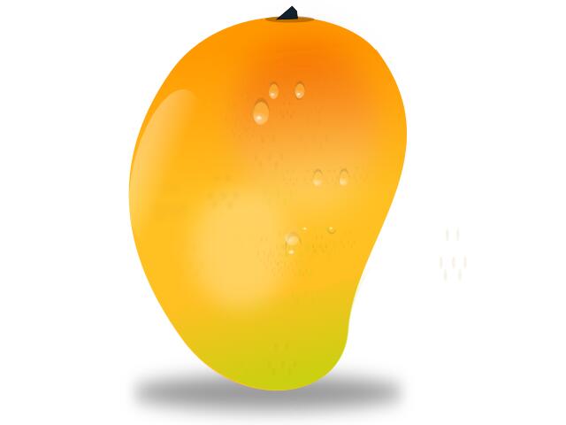 Mango fruit vector image