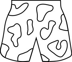 Beach shorts vector image